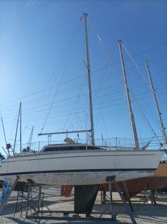 SUN DREAM 28