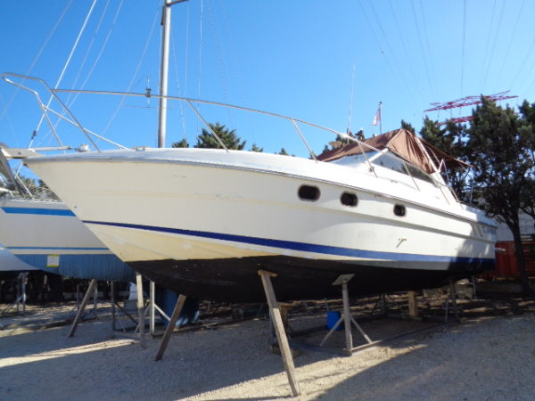 TARGA 33